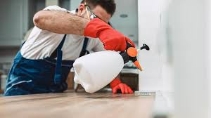 Best Pest Prevention Services  in Shenandoah, VA